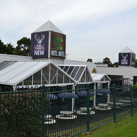 The Oaks Hotel Motel Albion Park Exterior photo